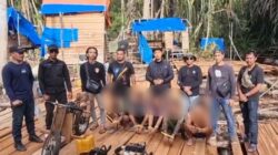 Polres Pelalawan Tangkap 6 Bandar Kayu Gelap, Runtuhnya Perdagangan Ilegal!
