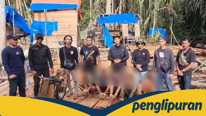 Polres Pelalawan Tangkap 6 Bandar Kayu Gelap, Runtuhnya Perdagangan Ilegal!