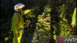 Longsor di Lembah Anai Sumbar, Akses Jalan Padang-Bukittinggi Terputus – Update 1